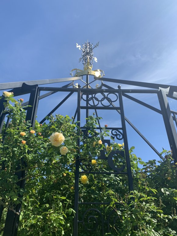 The Rose Arbour 4