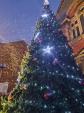 Image: Christmas Lights Switch on 2021