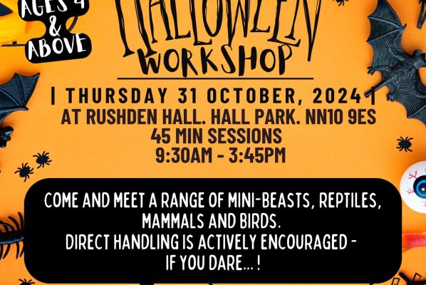 🎃 Join Us for a Spook-tacular Halloween Workshop for Children at Rushden Hall 🎃