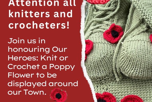 🌺 Join Us in Honouring Our Heroes: Knit or Crochet a Poppy Flower to Adorn Our Town!