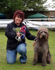 Winner of Bark in the Park 2017